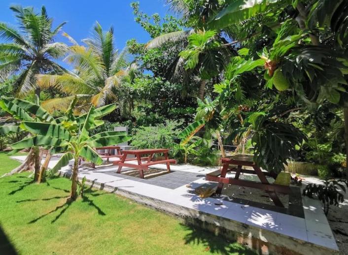 بونتا كانا Caribbean Studios Tropicana With Pool - Playa Los Corales المظهر الخارجي الصورة